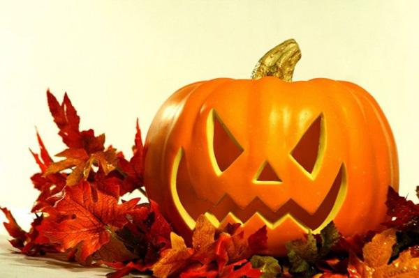 50+ Creative Pumpkin Carving Ideas