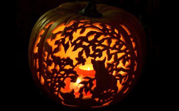 50+ Creative Pumpkin Carving Ideas