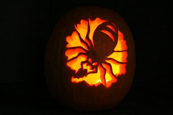 50+ Creative Pumpkin Carving Ideas