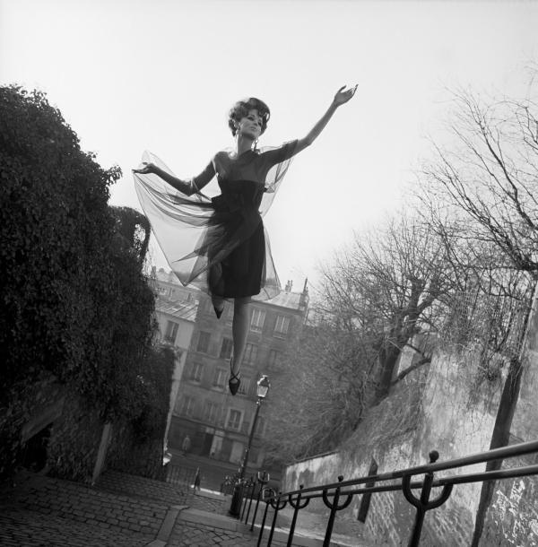 Fly by Melvin Sokolsky