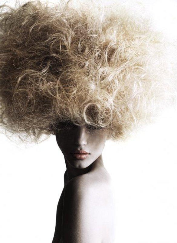 Creative Hairstyles by Linh Nguyen