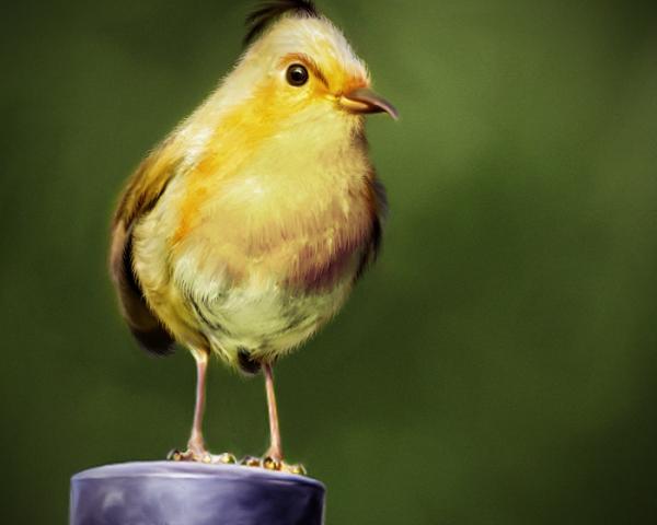 Real Angry Bird