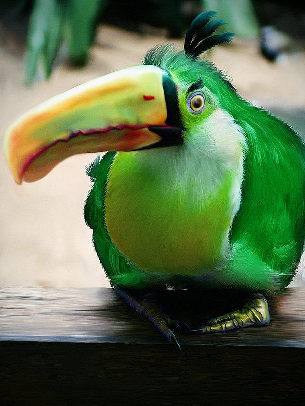 Real Angry Bird