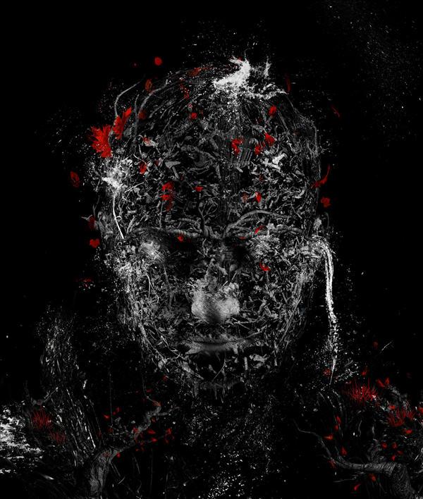 Illustrations by Drfranken