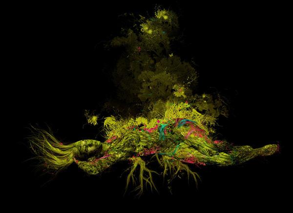 Illustrations by Drfranken