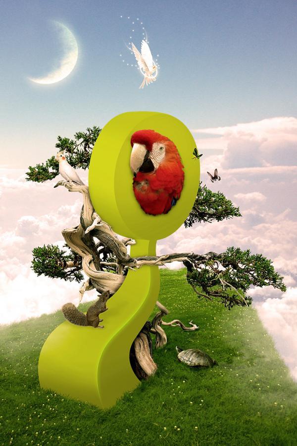 Illustrations by Eduardo Rodrigues