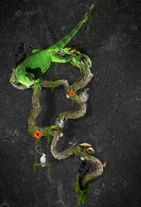 Illustrations by Eduardo Rodrigues