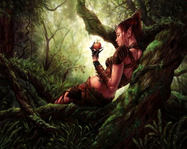 Illustrations by Michael C Hayes