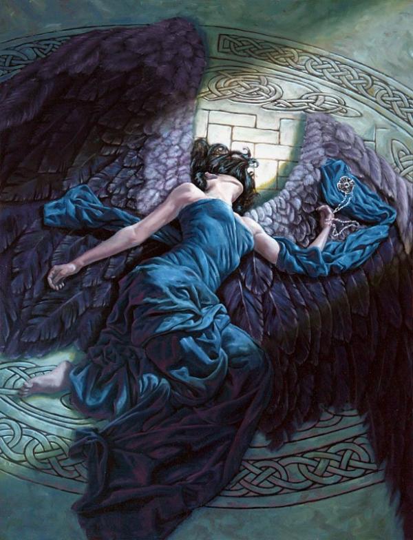 Illustrations by Michael C Hayes