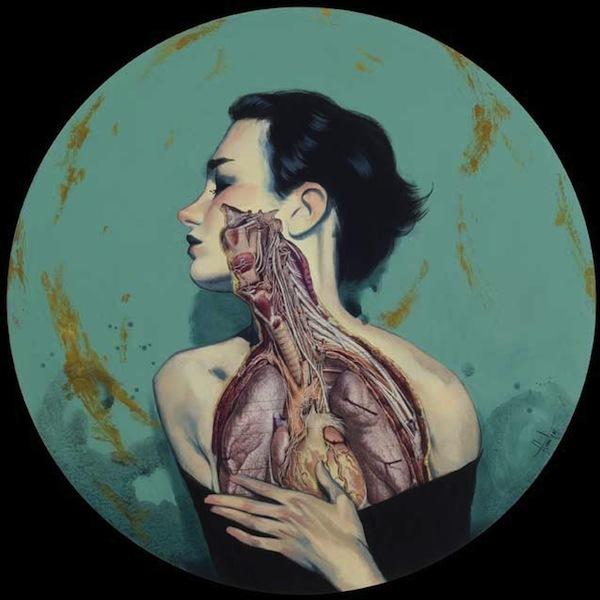 Illustrations by Fernando Vicente