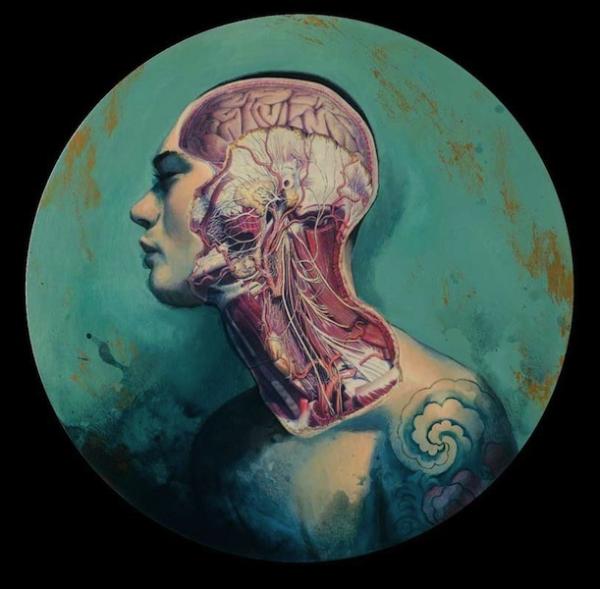 Illustrations by Fernando Vicente