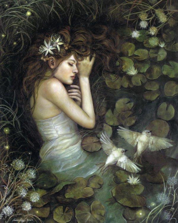 Illustrations by Annie Stegg