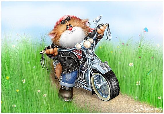 Illustrations by Journal A. Dolotova
