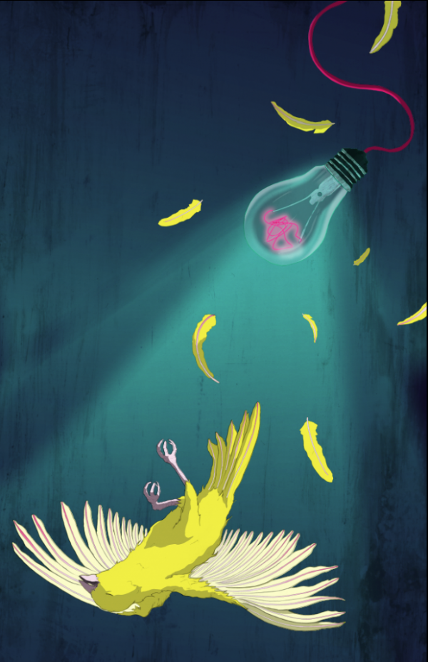 Illustrations by Devin McGrath