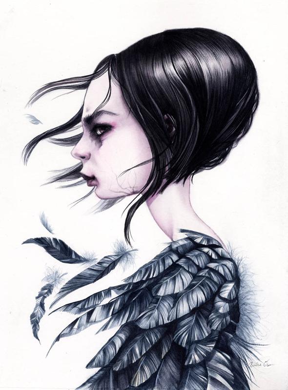Illustrations by Annie Owens
