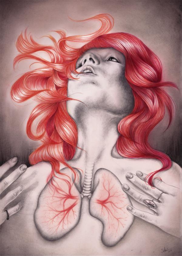 Illustrations by Ten Lohuis