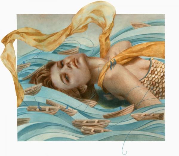 Illustrations by Tran Nguyen