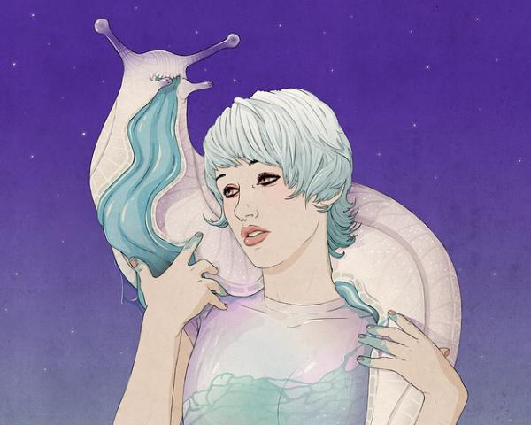 Illustrations by Jason Levesque