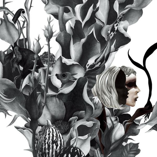 Illustrations by Kahori Maki