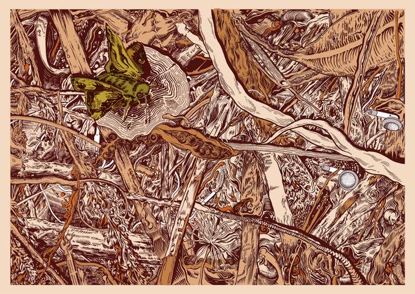 Illustrations by Tim Mcdonagh