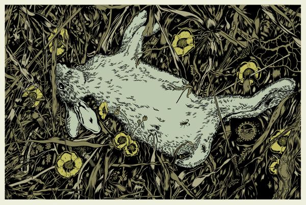 Illustrations by Tim Mcdonagh