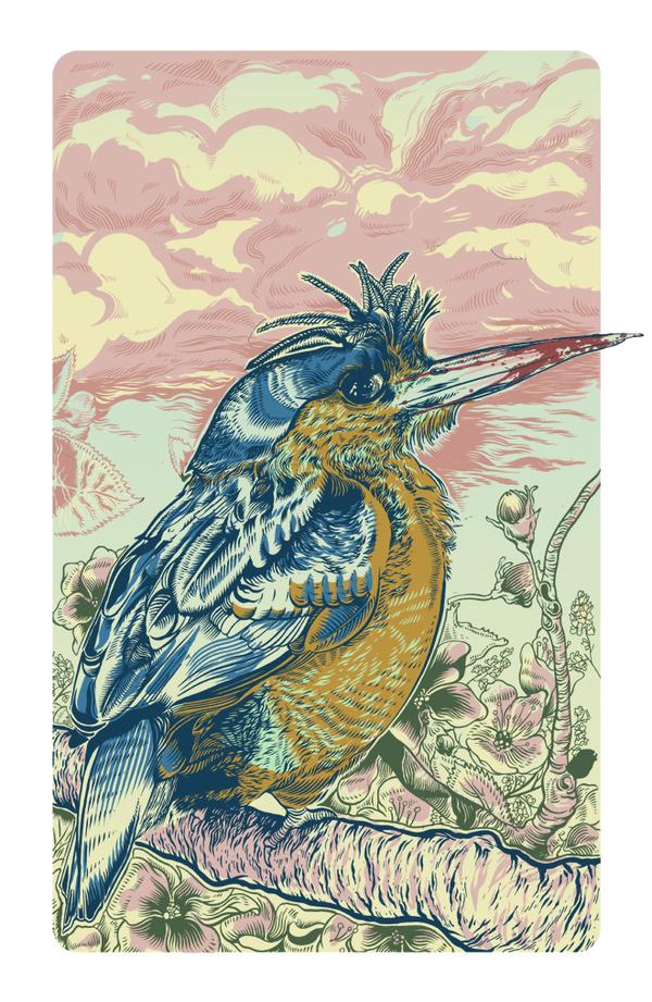 Illustrations by Tim Mcdonagh
