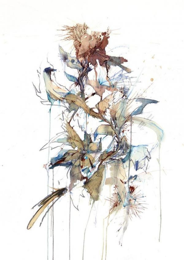 Illustrations by Carne Griffiths