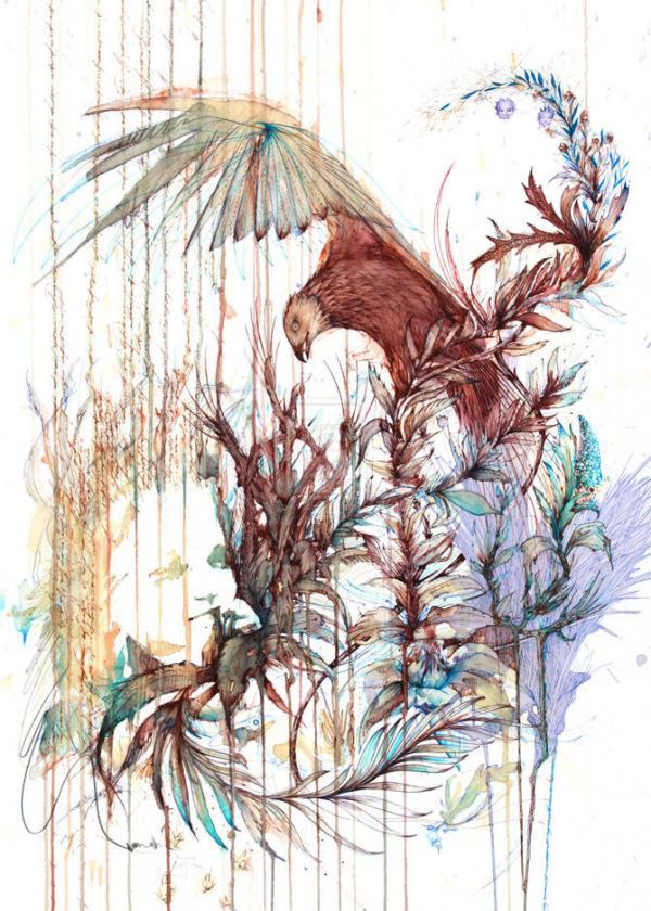 Illustrations by Carne Griffiths