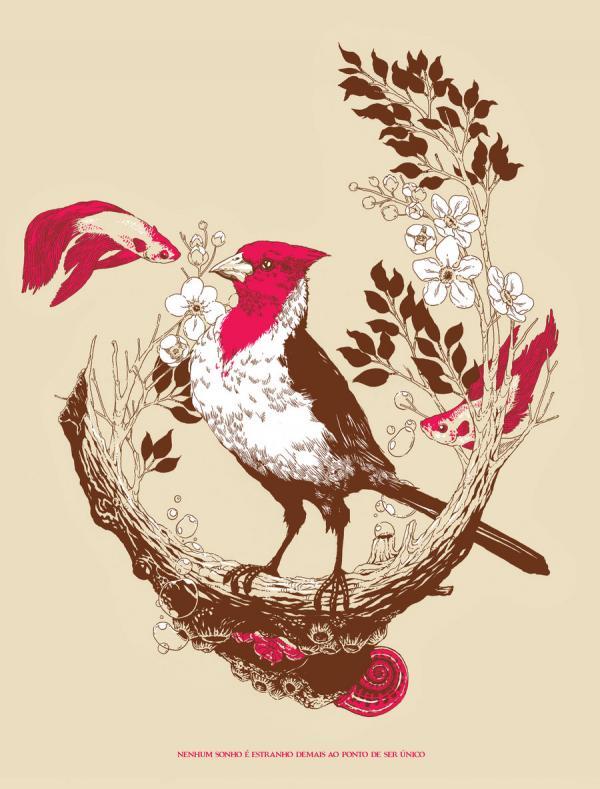 Illustrations by JrDragao