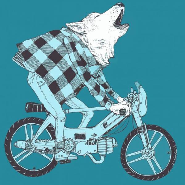 Illustrations by Pat Perry