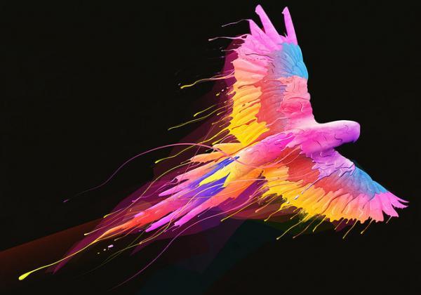 Illustrations by Olivier Lutaud