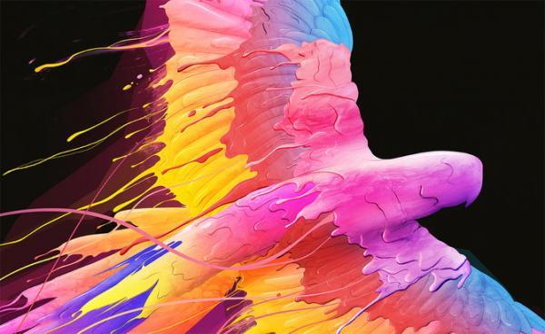 Illustrations by Olivier Lutaud