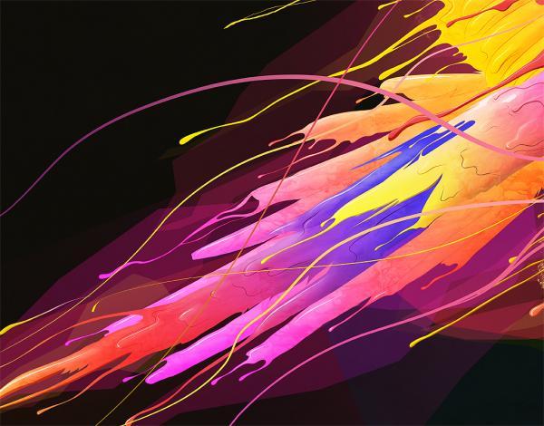 Illustrations by Olivier Lutaud