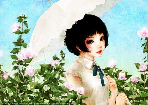 Illustrations by Shiho Enta