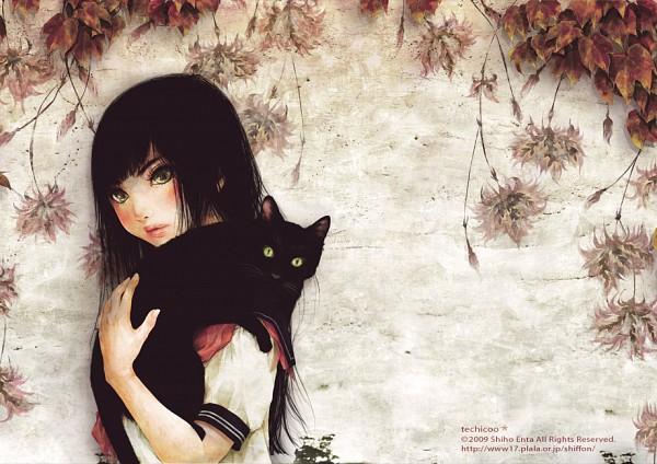 Illustrations by Shiho Enta
