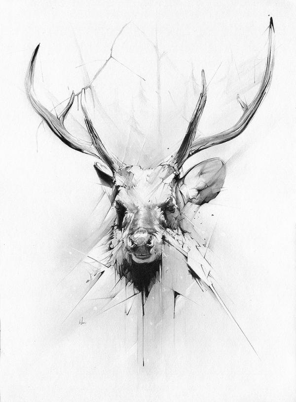 Illustrations by Alexis Marcou