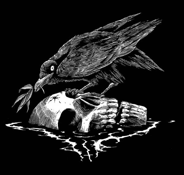 Illustrations by Becky Cloonan