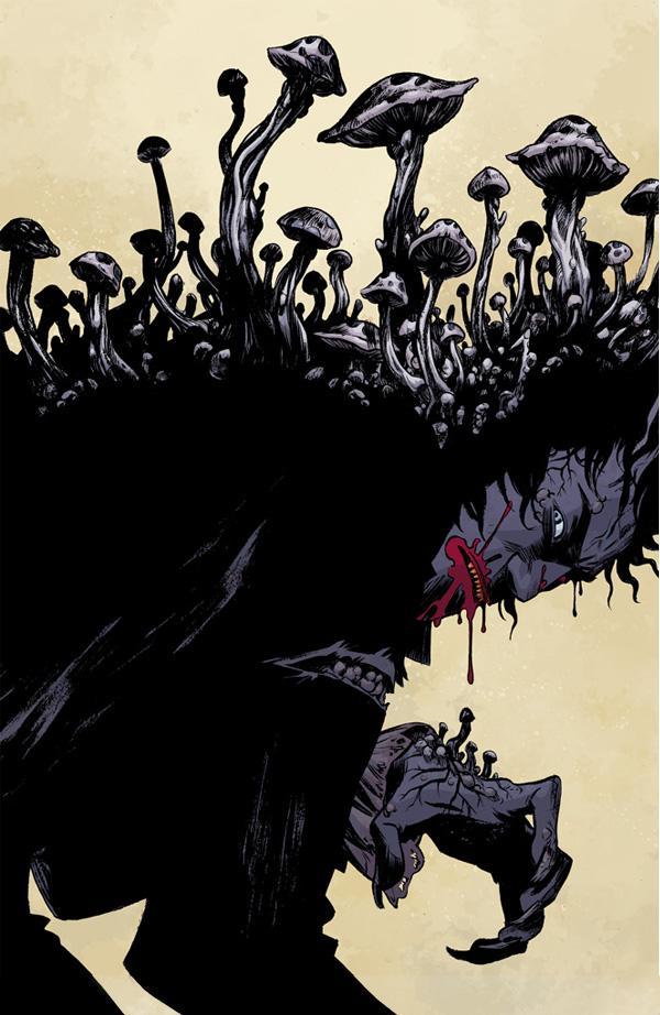 Illustrations by Becky Cloonan