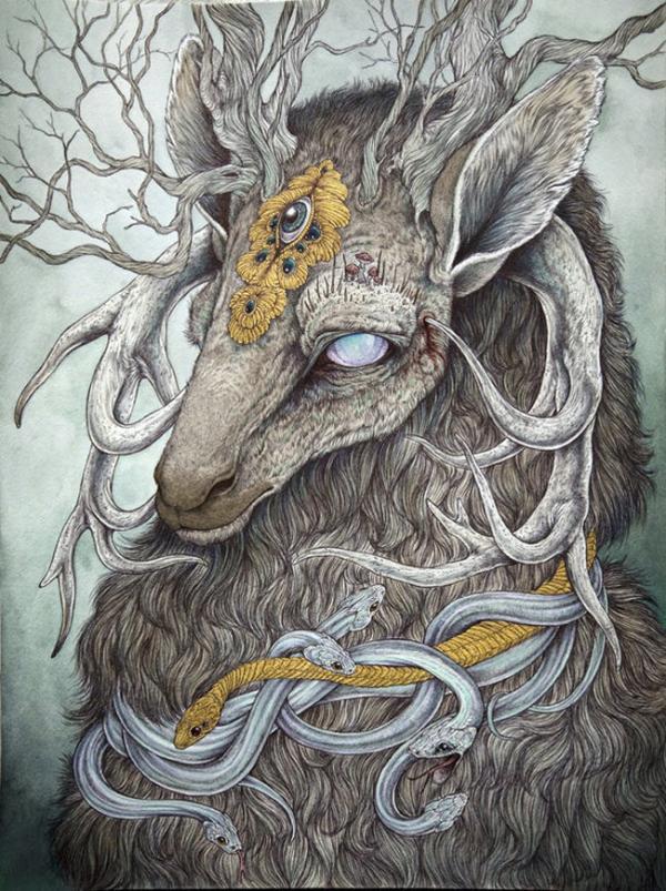 Illustrations by Caitlin Hackett