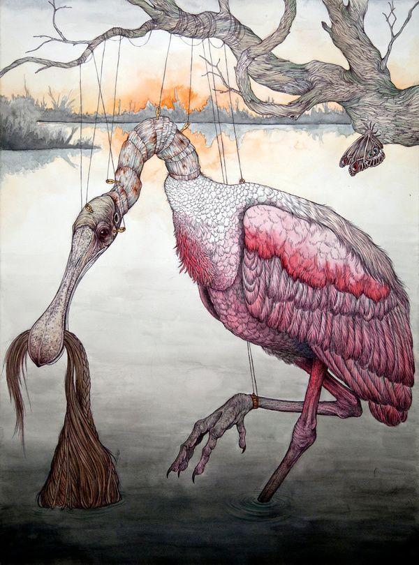 Illustrations by Caitlin Hackett