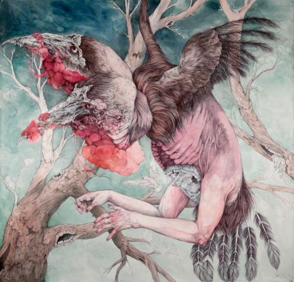 Illustrations by Caitlin Hackett