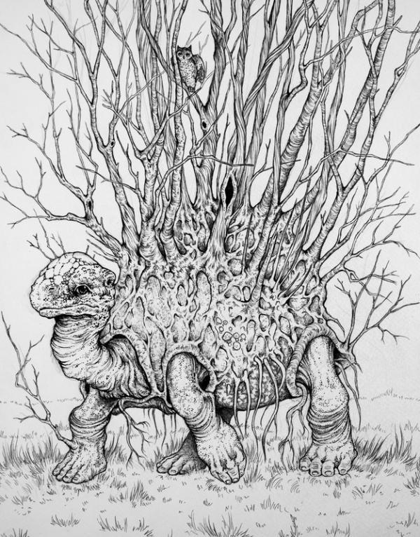 Illustrations by Caitlin Hackett