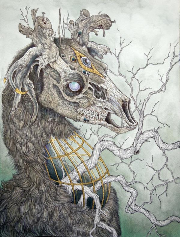 Illustrations by Caitlin Hackett