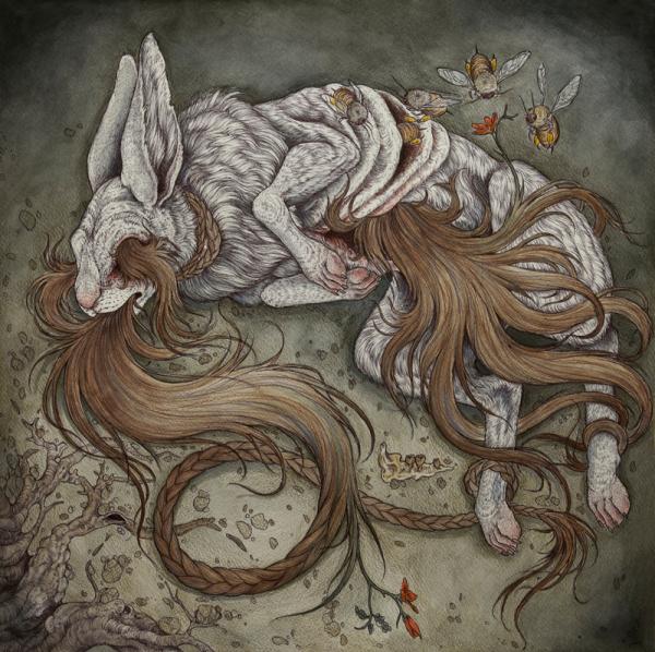 Illustrations by Caitlin Hackett