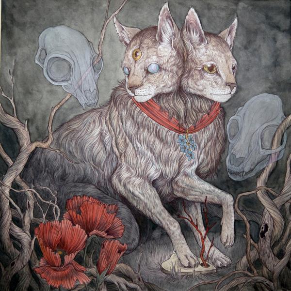 Illustrations by Caitlin Hackett