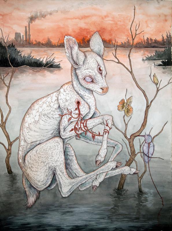 Illustrations by Caitlin Hackett