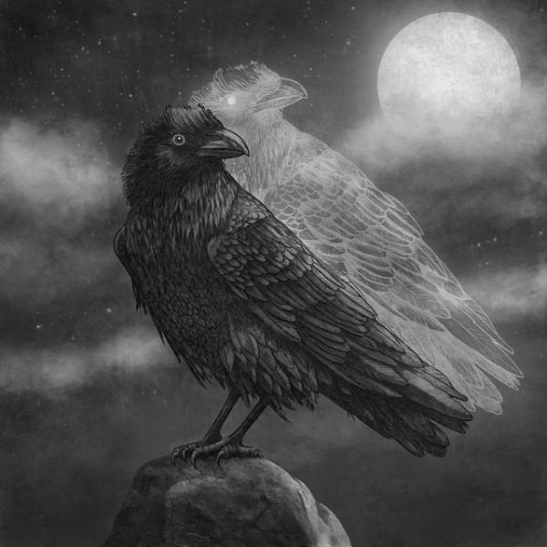 Illustrations by Terry Fan