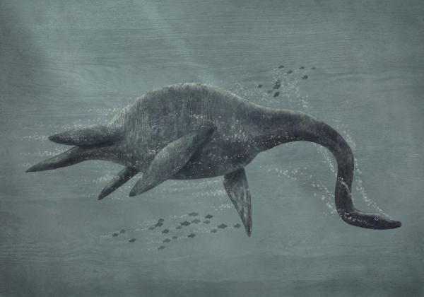 Illustrations by Terry Fan