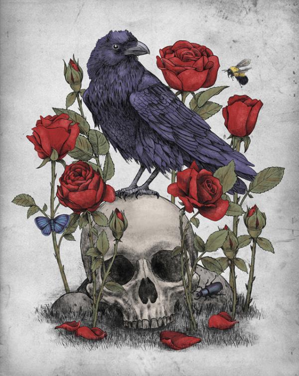 Illustrations by Terry Fan