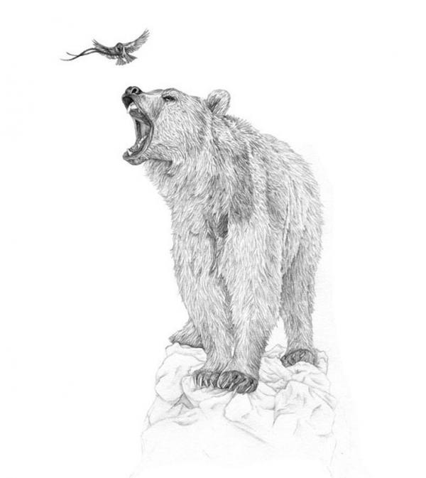 Pencil drawings by Amy Dover